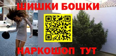 амф Дубна