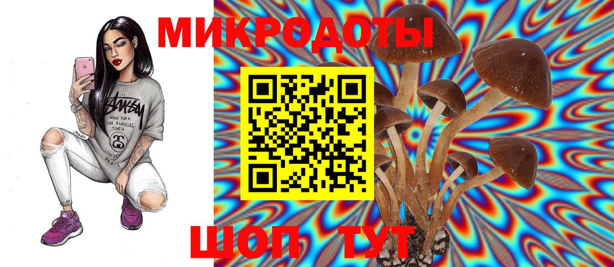 Псилоцибиновые грибы Cubensis Мичуринск