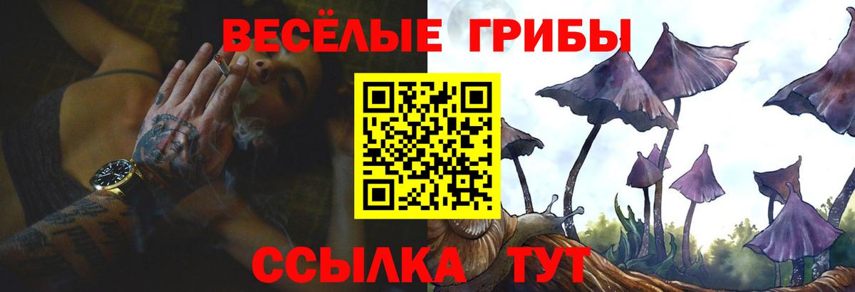 Псилоцибиновые грибы ЛСД  Вход с VPN  Мичуринск  Псилоцибиновые грибы GOLDEN TEACHER 